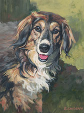 Kelsey-dog-portrait-tn