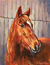 Charlie-horse-portrait-tn