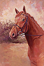 horse-portrait-Quinn-tn